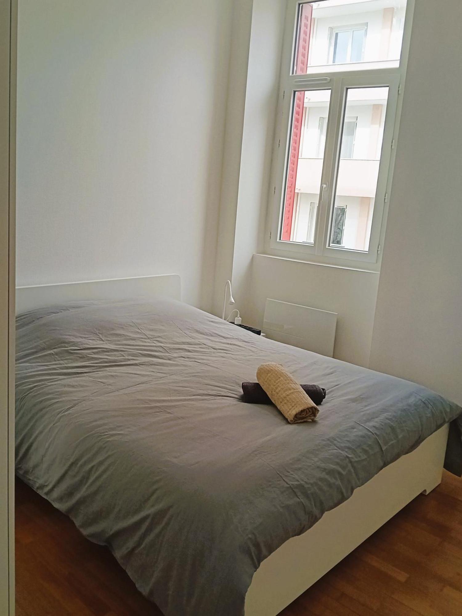 102 - Appart Renove Avec Grand Salon Et 1 Chambre - Tram Et Clinique Mutualiste A 1 Min Grenoble Bagian luar foto